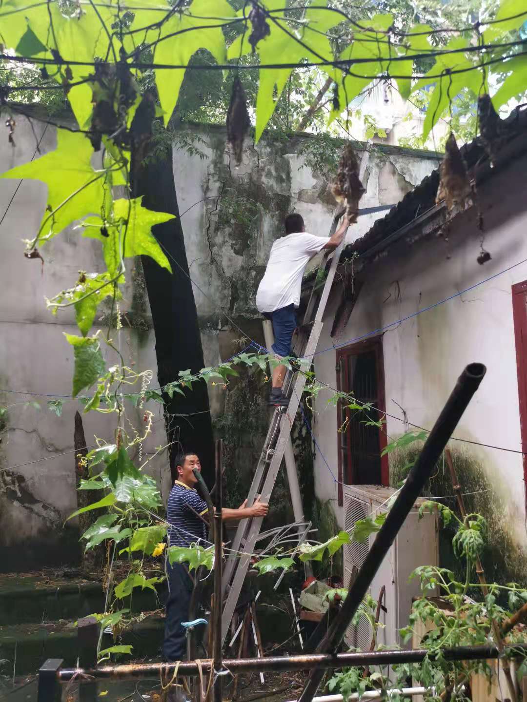 1627457495114496.jpg 微信圖片_20210728151108.jpg