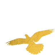 商旅資管公司黨委召開(kāi)學習貫徹習近平新時(shí)代中國特色社會(huì)主義思想主題教育培訓會(huì)